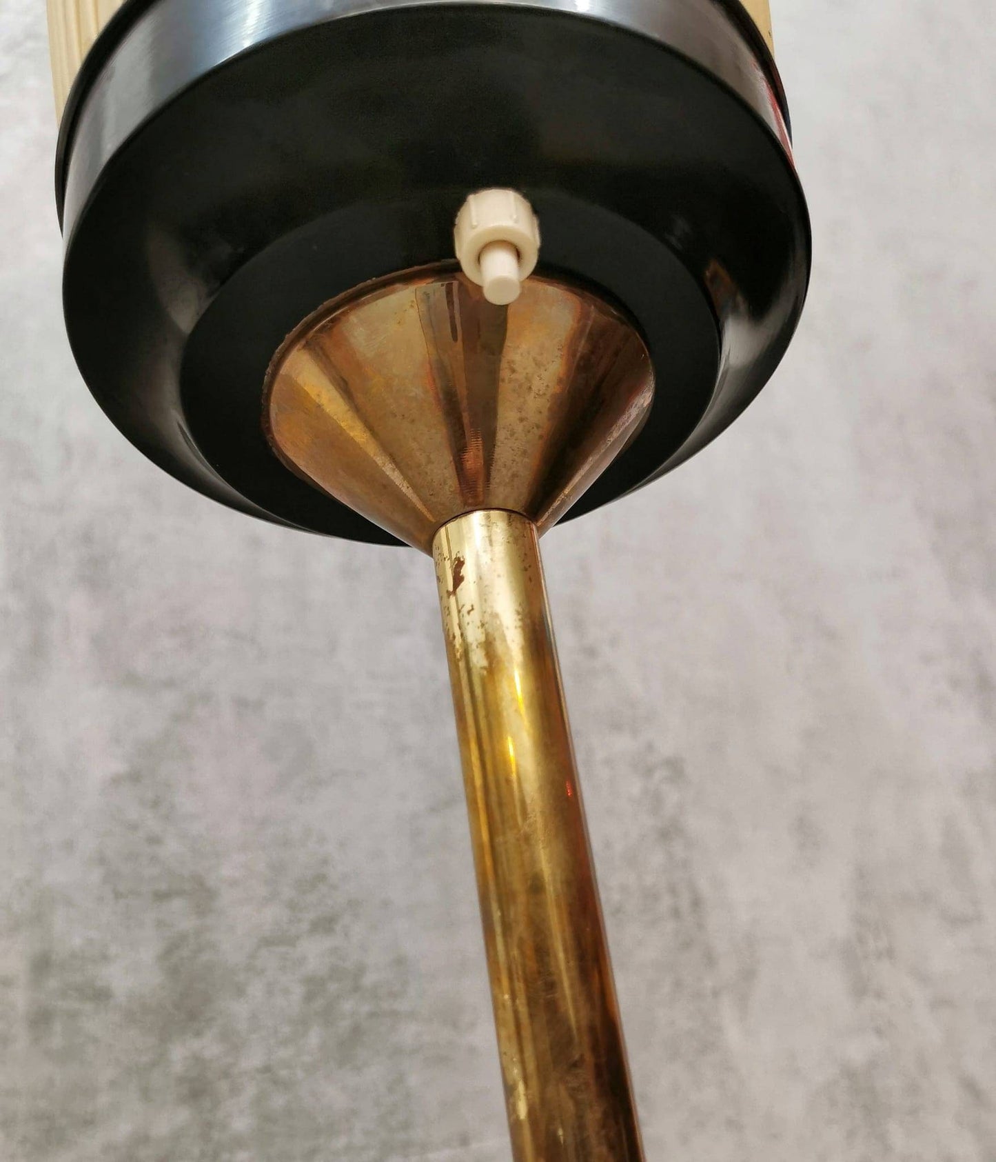 Mid-Century Modern Brass and Illustrated Fabric Floor Lamp, 1950s, Germany