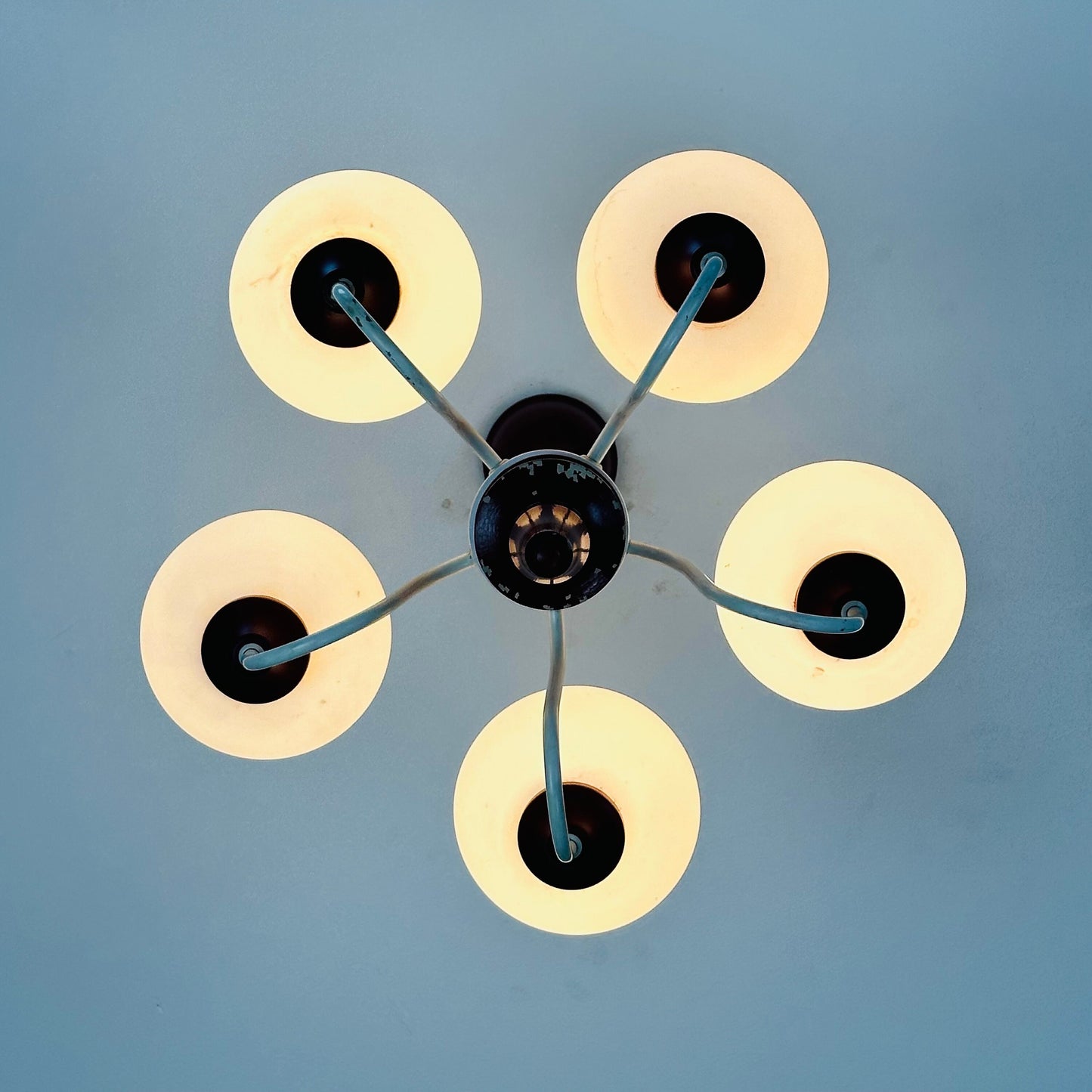 German mid century 5 Opal Glass and Bordeaux Body Chandelier by Kaiser Leuchten, 1960s, Germany