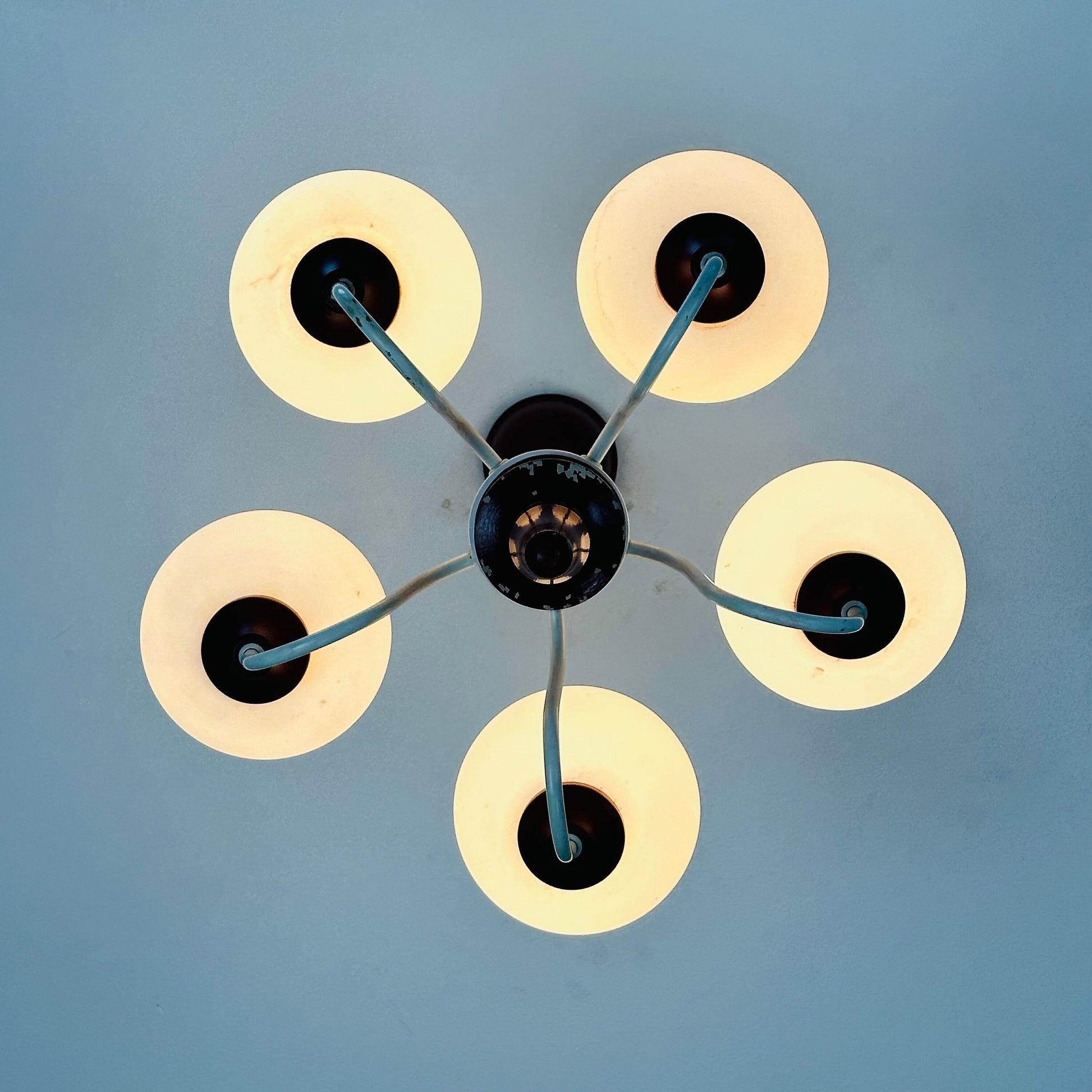 German mid century 5 Opal Glass and Bordeaux Body Chandelier by Kaiser Leuchten, 1960s, Germany