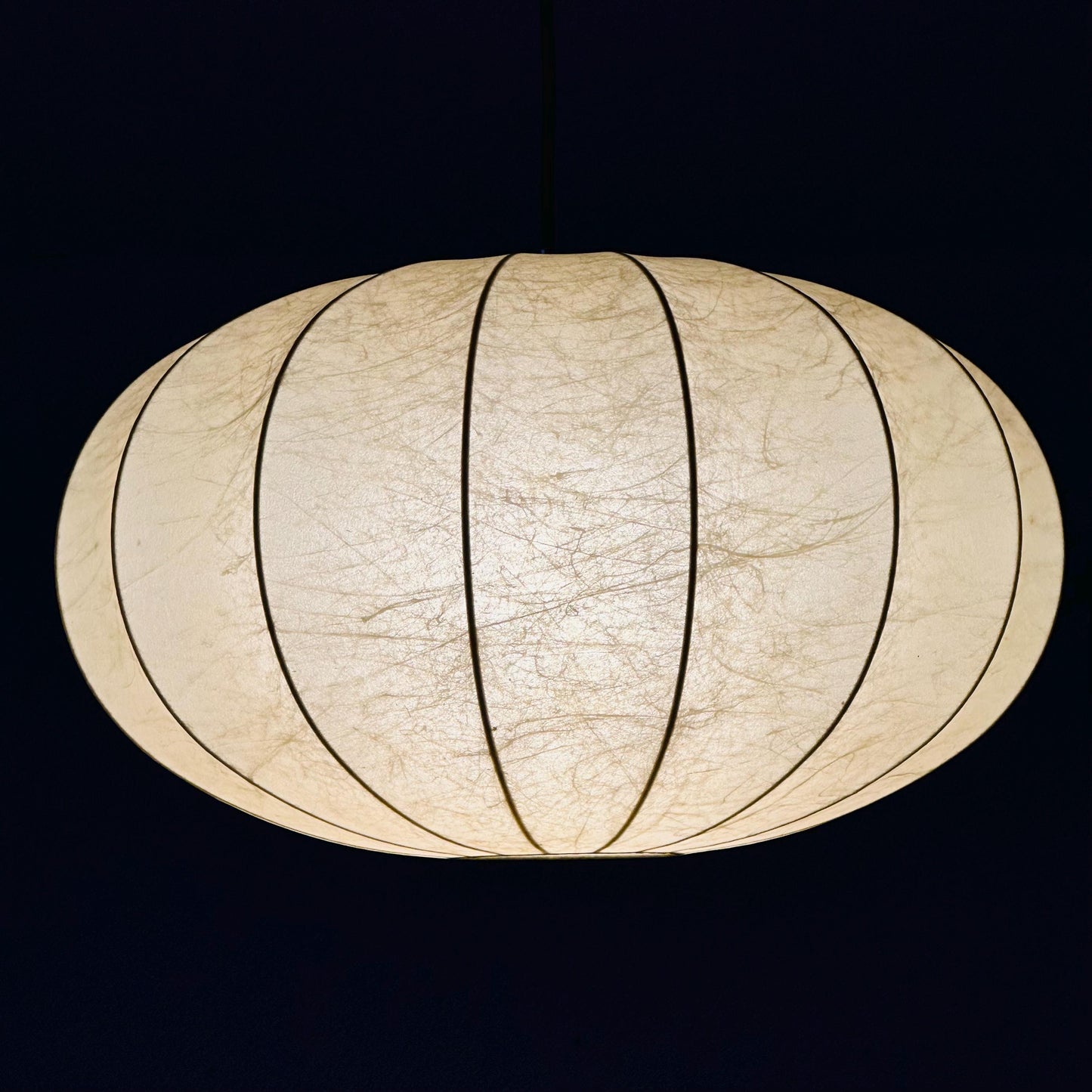 Superb & Rare Italian Pendant Lamp from the Cocoon Series by Achille - Pier Giacomo Castiglioni, 1960s