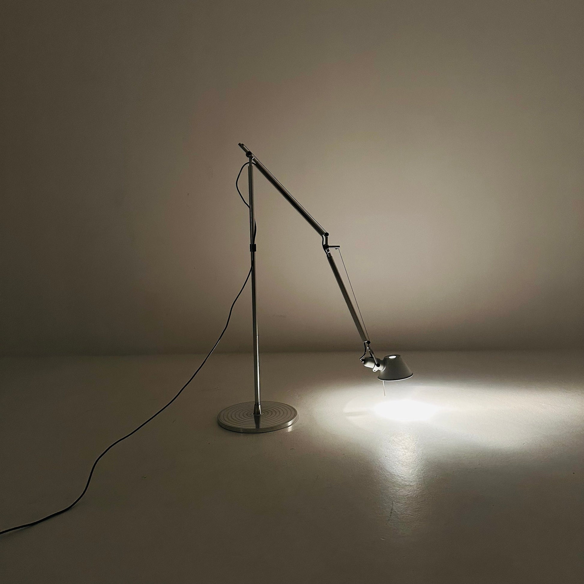 Iconic floor lamp by Michele de lucchi & ciancarlo fassina. Tolomeo, "Terra" for Artemide, Italy