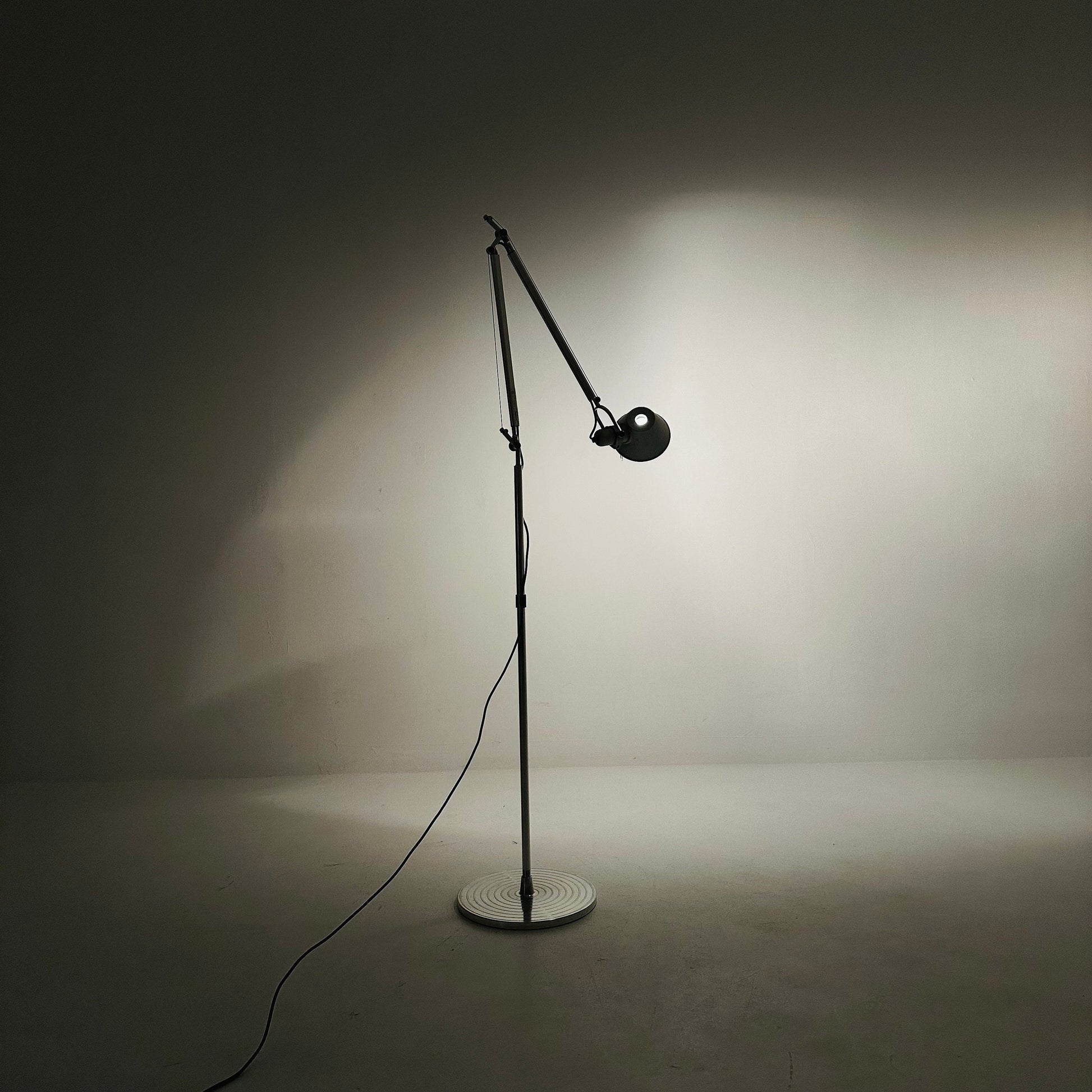 Iconic floor lamp by Michele de lucchi & ciancarlo fassina. Tolomeo, "Terra" for Artemide, Italy
