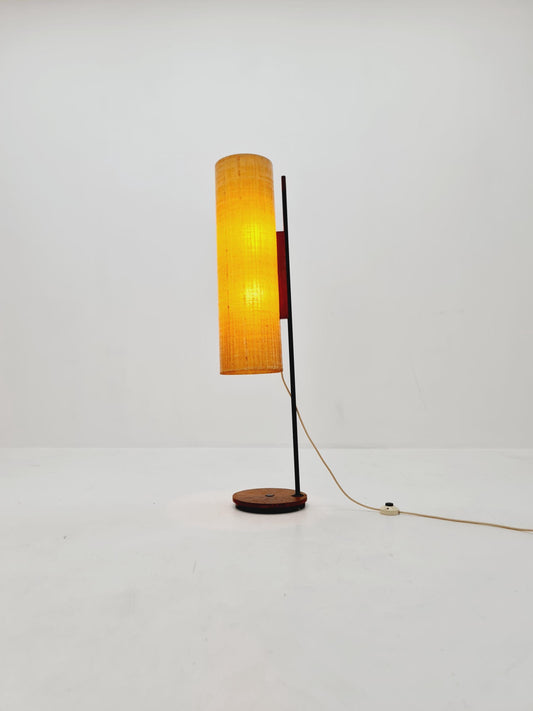 Rare Midcentury Danish floor lamp teak & fiberglass 1960s