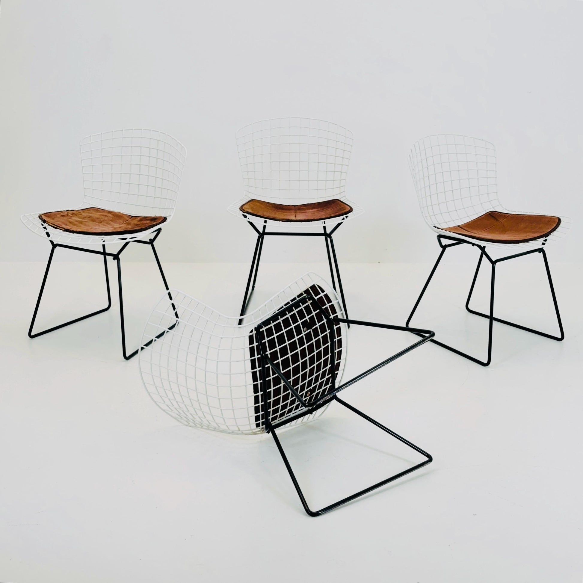 Set of 4 Mid-Century Bird Chairs Model 420c designed by Harry Bertoia for Knoll international , 1960s
