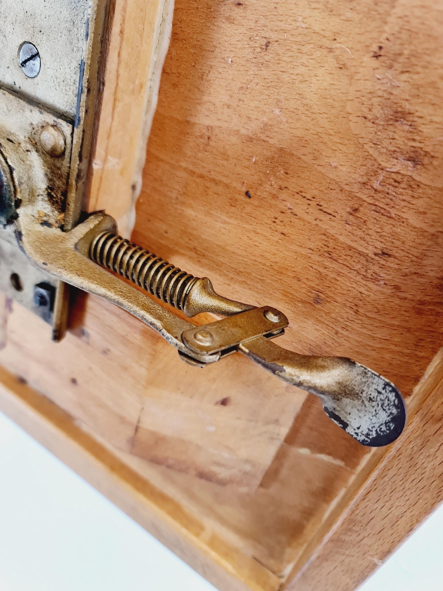 Bauhaus swivel office chair in solid wood By Ama Elastik Modell 325 ,1930s
