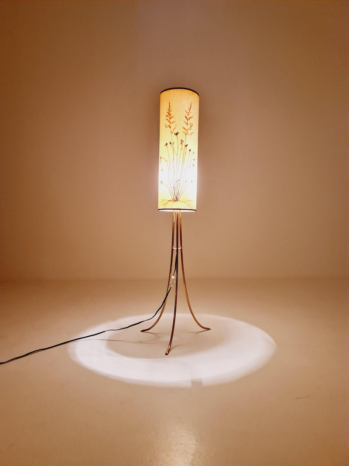 Rare Tripod Mid century German floor lamp Brass 1960s