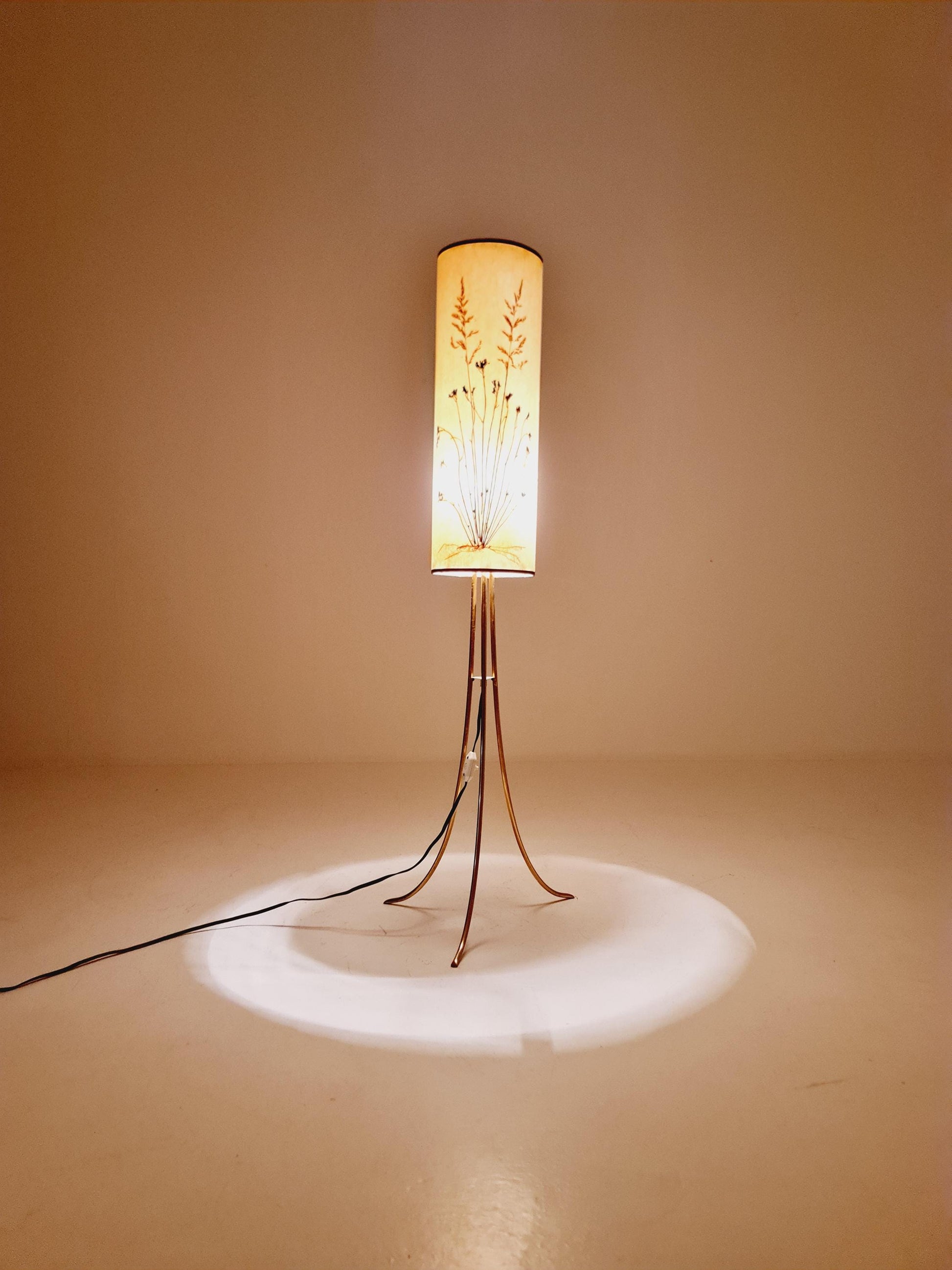 Rare Tripod Mid century German floor lamp Brass 1960s