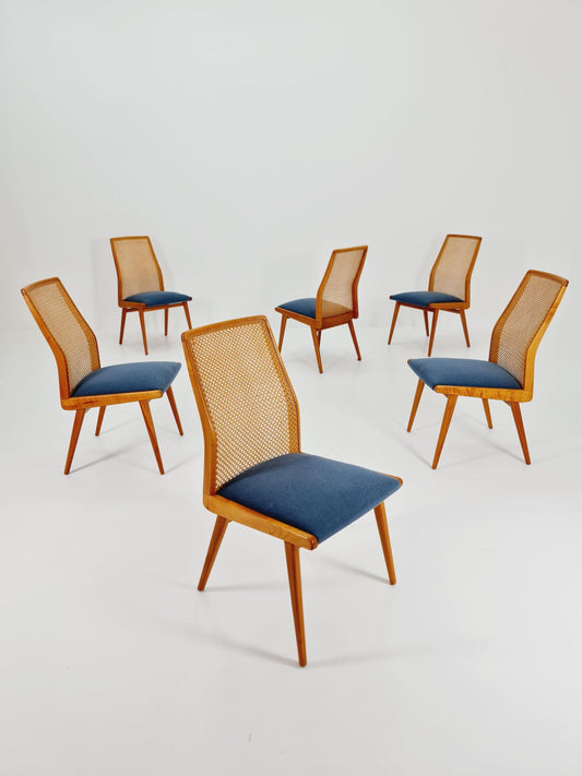 Rare Vintage Ashwood & Wiener Rattan Dining Chairs from Habeo Germany, 1960s, Set of 6