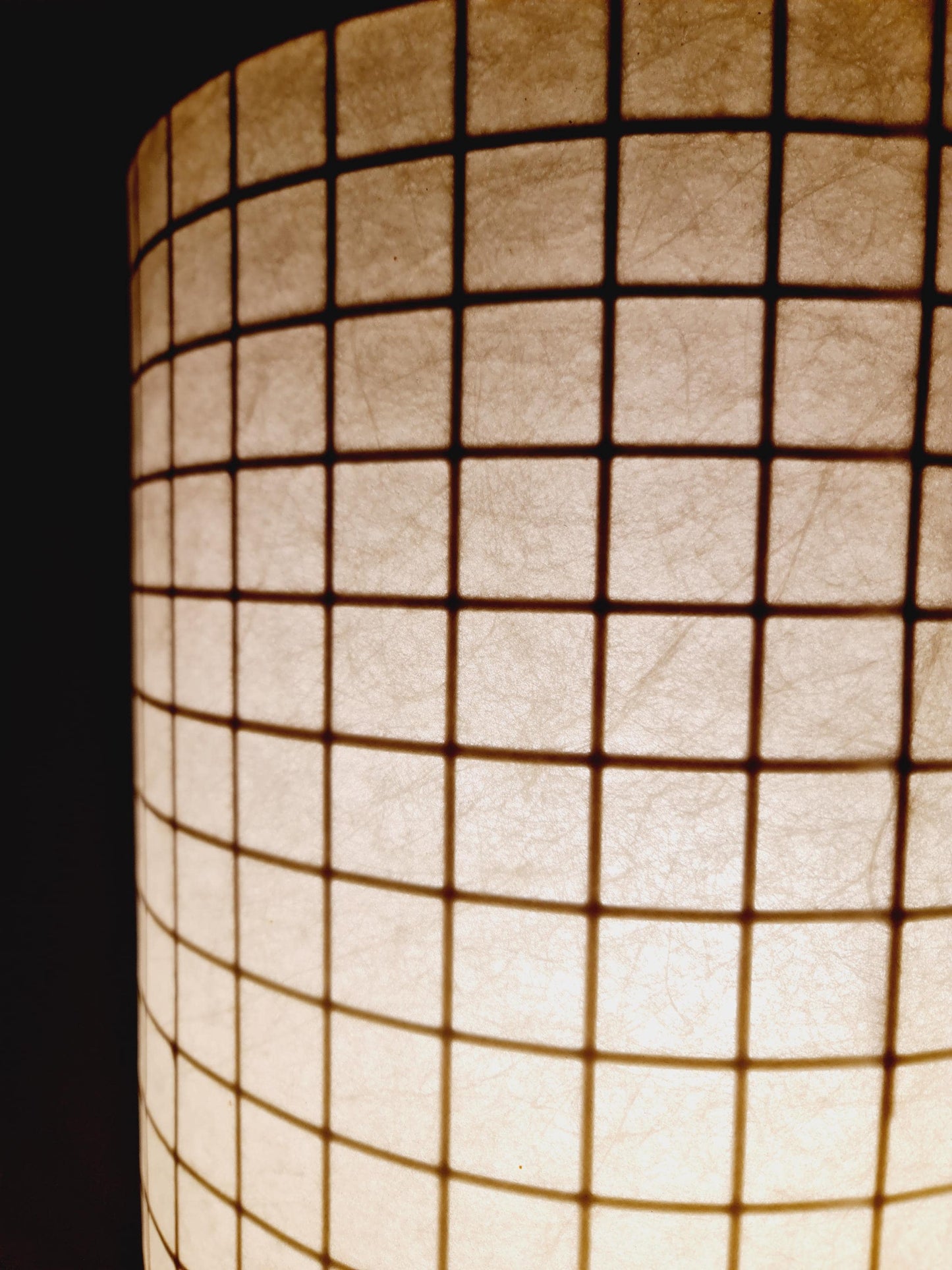 Mid century Super Rare Cocoon Floor lamp , Italy, 1960s