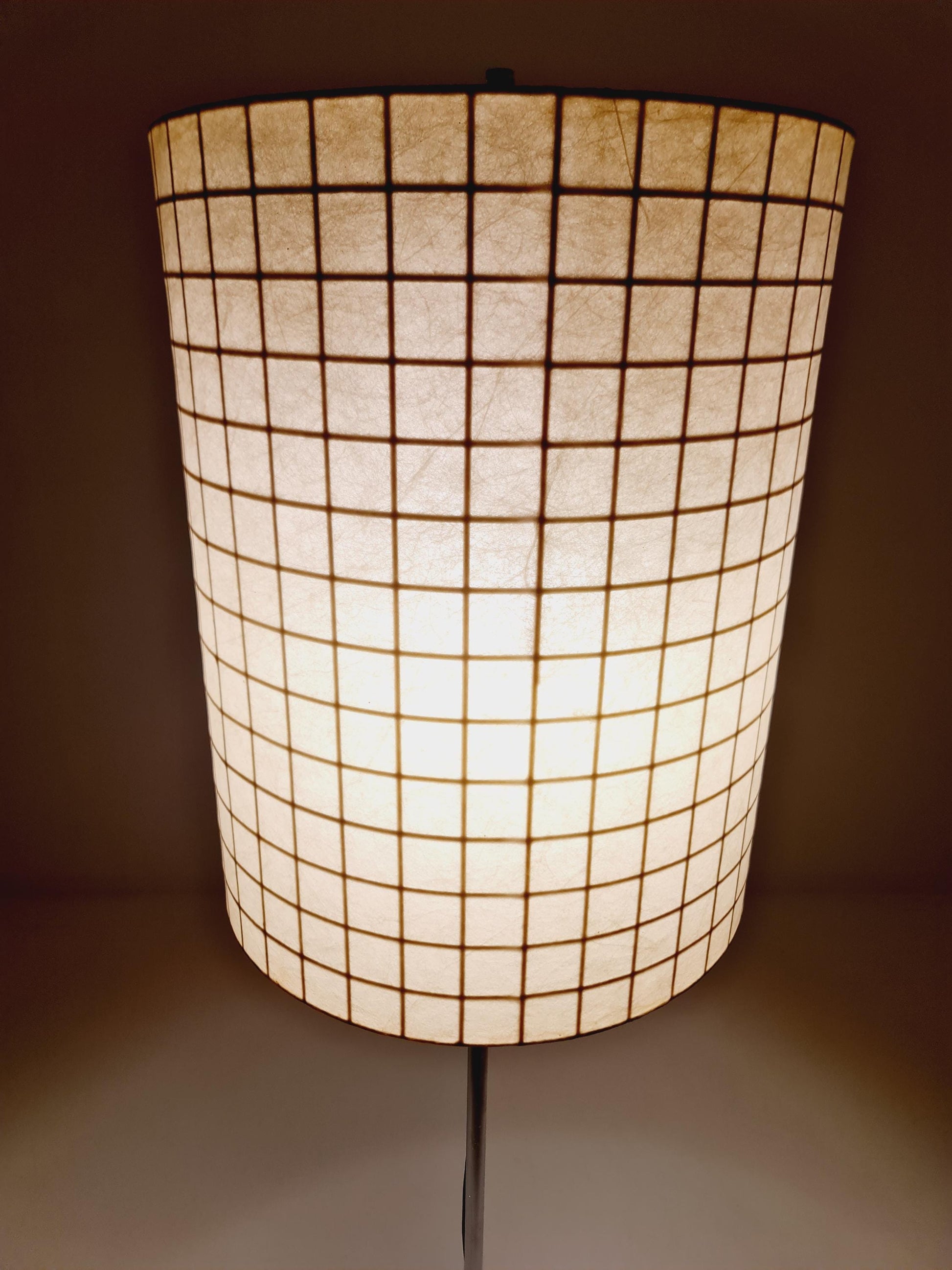 Mid century Super Rare Cocoon Floor lamp , Italy, 1960s