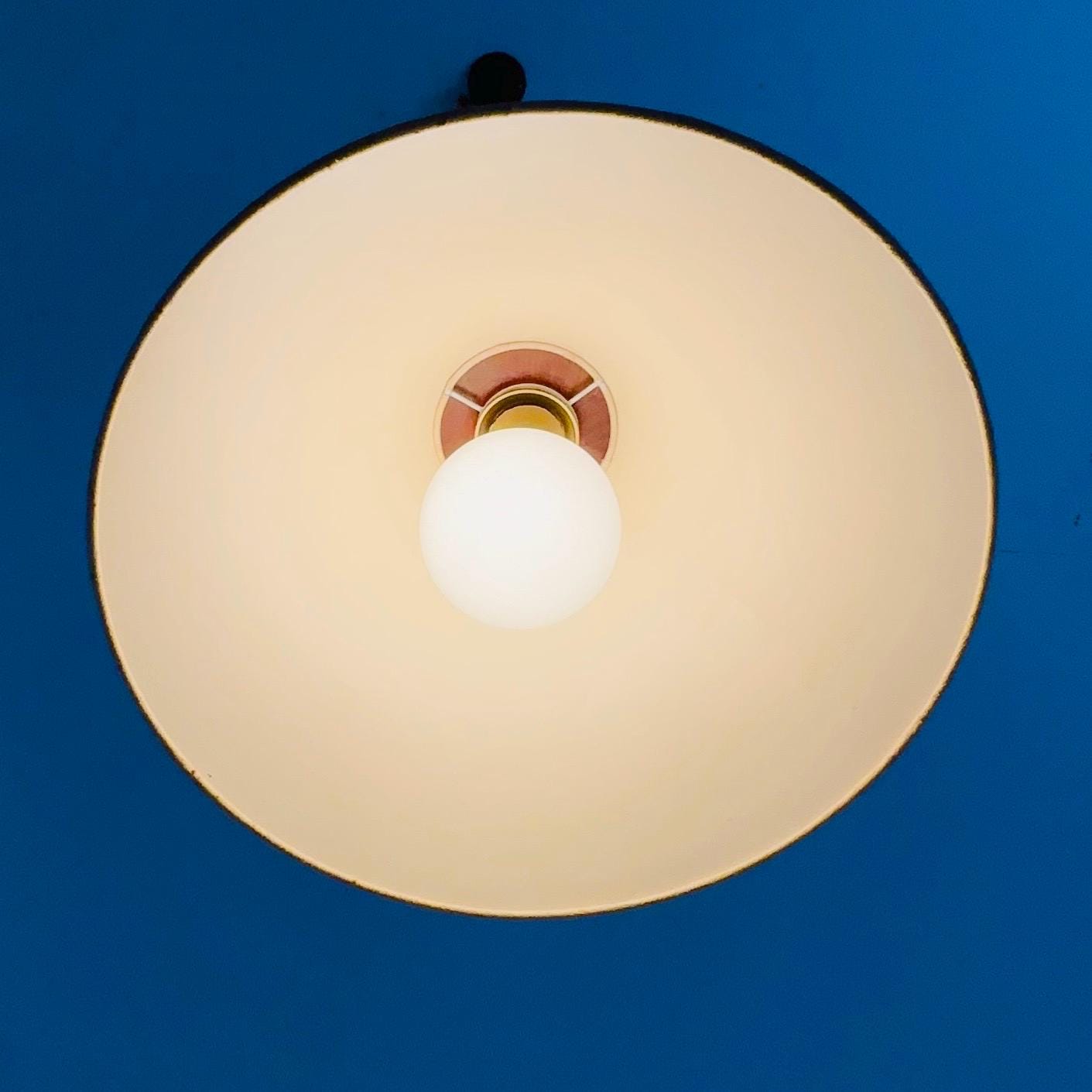 Mid-Century Modern Oak Pendant Lamp with Counterweight by Domus, Germany, 1960s