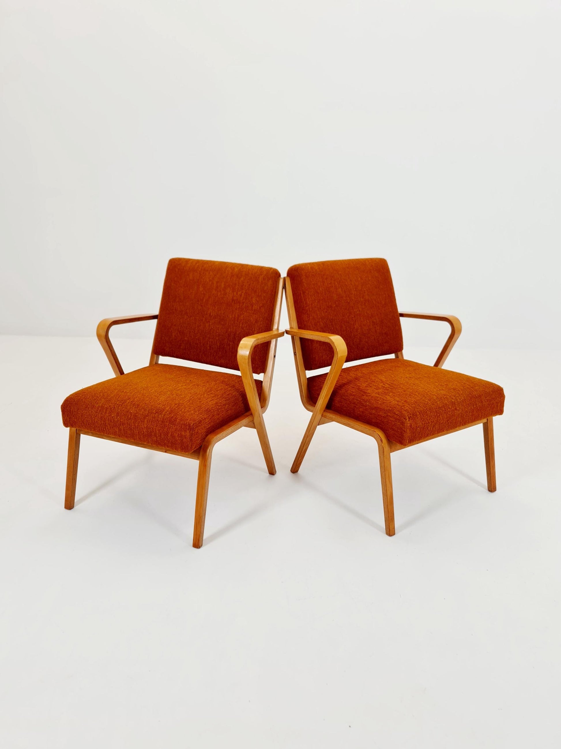 Bau haus pair of German lounge armchair By Selman Selmanagic for VEB Hellerau 1950s