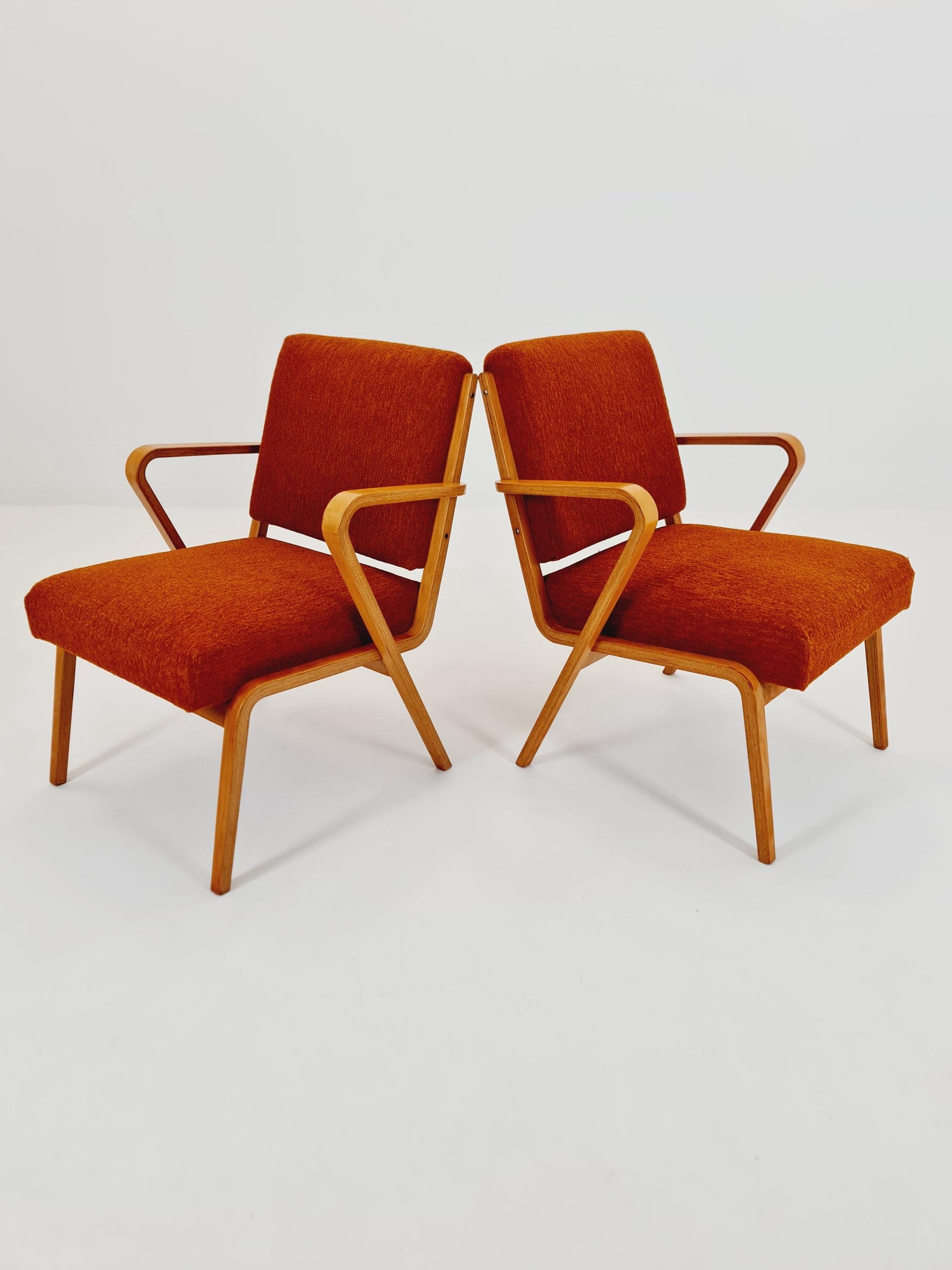 Bau haus pair of German lounge armchair By Selman Selmanagic for VEB Hellerau 1950s