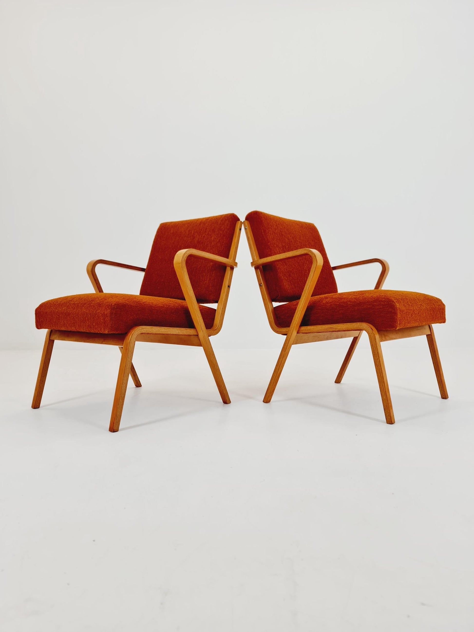 Bau haus pair of German lounge armchair By Selman Selmanagic for VEB Hellerau 1950s