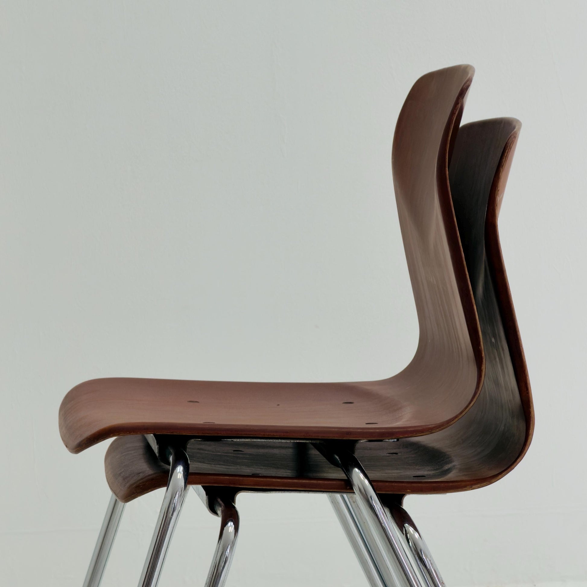 1 of 3 Mid Century Pagholz Chair by Thur-Op, Germany 1990s