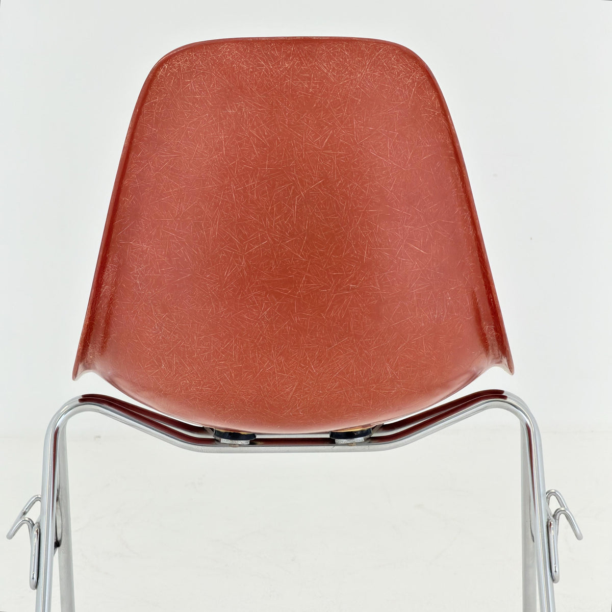Set of 4 Original Herman Miller Eames DSS Fiberglass Chairs, Coral Orange, 1970s